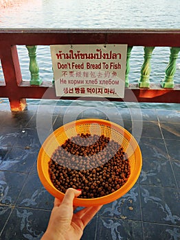 Vending machine selling fish food by a lake in a city park