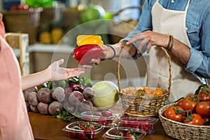 Vendor giving bell pepper to the woman at the grocery store