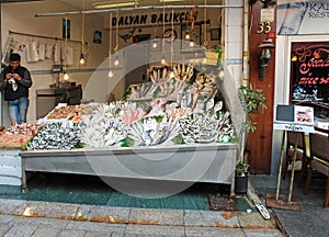 Vendor Selling Fish at Market in Istanbul, Turkey
