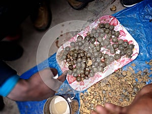 A vendor is selling the stone of Rudraksh that is very tough to buy. Rarely seen rudraksh for sale.