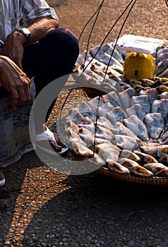 Vendor selling traditional dried headless fish (Nile Tilapia) at local market in Sattahip, Thailand