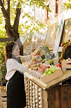 Vendors arranging greenmarket stall