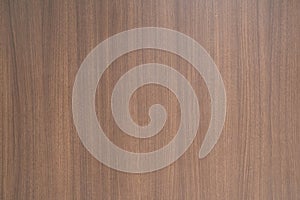 Veneer wood seamless pattern in oak wood color / seamless texture / background texture  / interior material