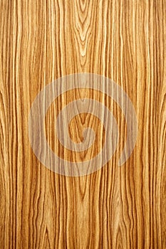 Veneer Wooden Texture Background
