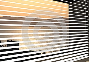 Venetian Blinds 3d max