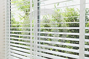 venetian blinds