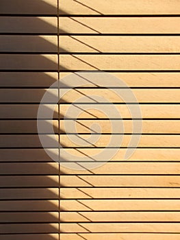 Venetian blinds background