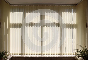 Venetian Blinds