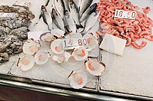 Venetian fish market