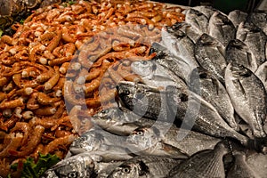 Venetian fish market - dorados, King prawns. The Rialto fish market is located alongside the Grand Canal near the Rialto Bridge -