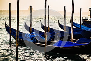 Venetian gondolas at their berth in the markus basin in Venice. Mystic light atmosphere in the early morning with fog in the backg