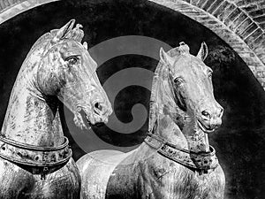 Venetian Horses