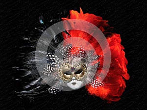 Venetian Mask img