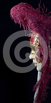 Venetian mask