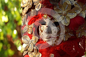 Venetian mask decorated with gold leaf and red plumage