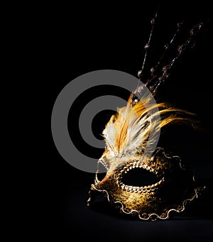 Venetian Mask photo