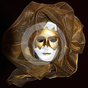 Venetian masque photo