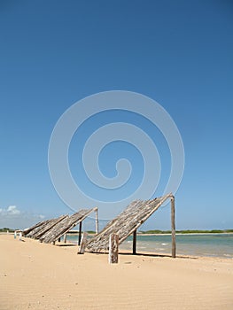 Venezuela, Adicora Peninsule of Paraguana, Caviar beach , falcon state