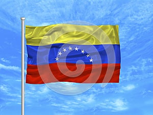 Venezuela Flag 1