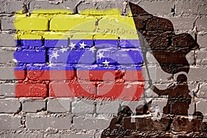 Venezuela flag on wall