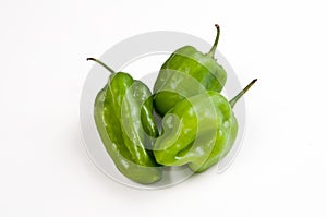 Venezuelan Aji dulce pepper