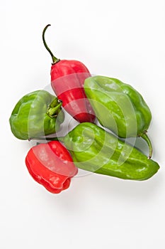 Venezuelan Aji dulce pepper