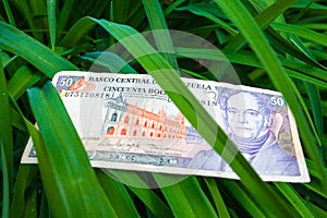 50 Venezuelan bolivares bank note on the leaves photo