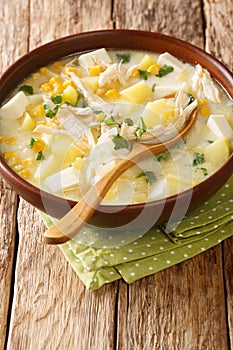 Venezuelan Chupe Andino soup with chicken, cheese, vegetables and cream close-up in a bowl. vertical photo