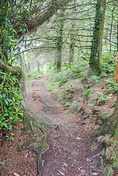 Venford trail