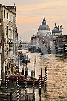 Venice Academia Maria Vert Rise photo