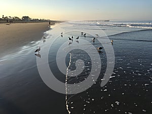 Venice Beach