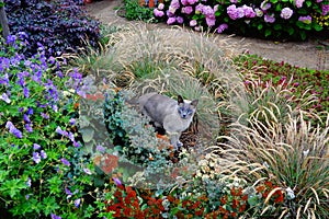 Venice Beach Boardwalk