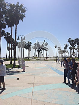 Venice beach