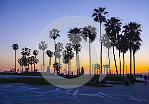 Venice Beach after sunset - silhouettes of Palm Trees