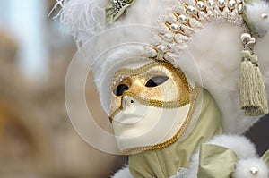 Venice Carnival photo