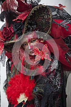 Venice Carnival mask and costume