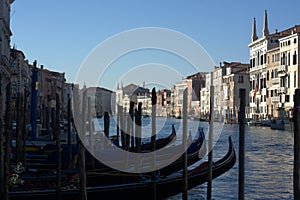 Venice and the Cinema Festival