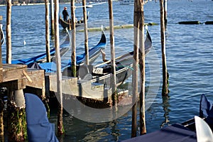 Venice and the Cinema Festival,gondole