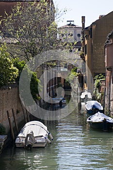 Venice Dorsoduro photo