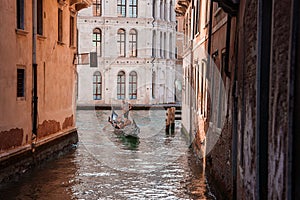 Venice Gondola on Canal. Serene Waterway in Iconic Italian City