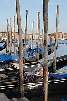 Venice Gondolas