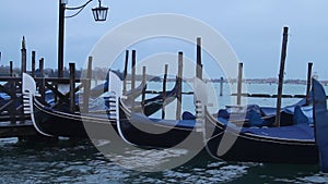 Venice gondolas