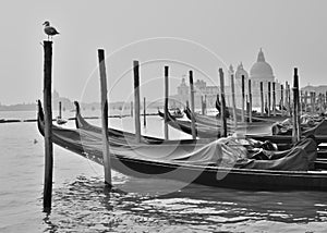 Venice Gondole