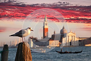 Venice, Grand canal with gondola