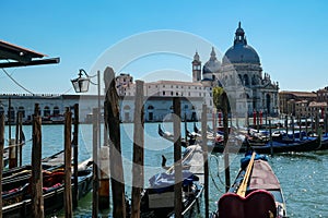 Venice - Group of gondolas moored by Saint Mark square in city of Venice, Veneto, Northern Italy