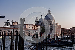 Venice - Group of gondolas moored by Saint Mark square at sunset in city of Venice, Veneto