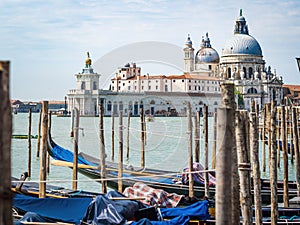 Venice, Italy, Gondolas moored near Saint Mark`s Square Piazza San Marco photo