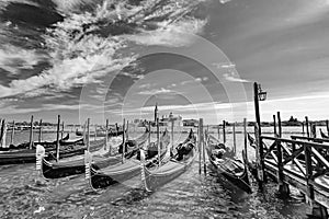 Venice, Italy, Gondolas parked in Grand Canal