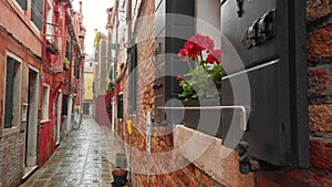 Venice, Italy - May 2019: Traditional italian street with retro houses after the rain, shutters on the windows. Flowers