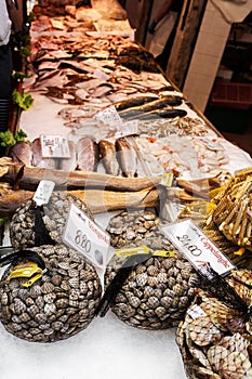 Venice, Italy - September, 2016: Rialto Fish Market. Fresh seafood is displayed on crushed ice under fluorescent lights. Shellfis